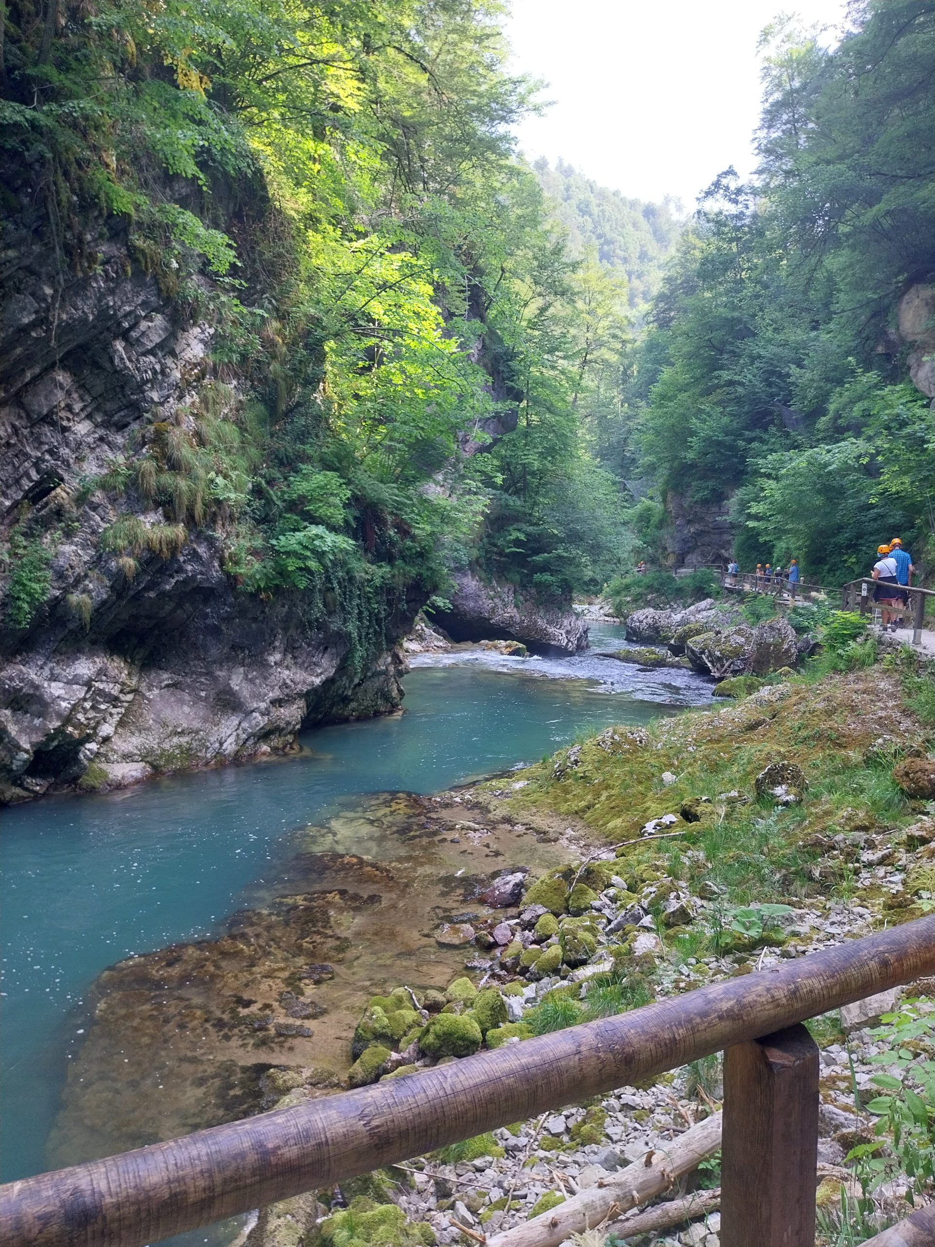 1000000620 1000000620