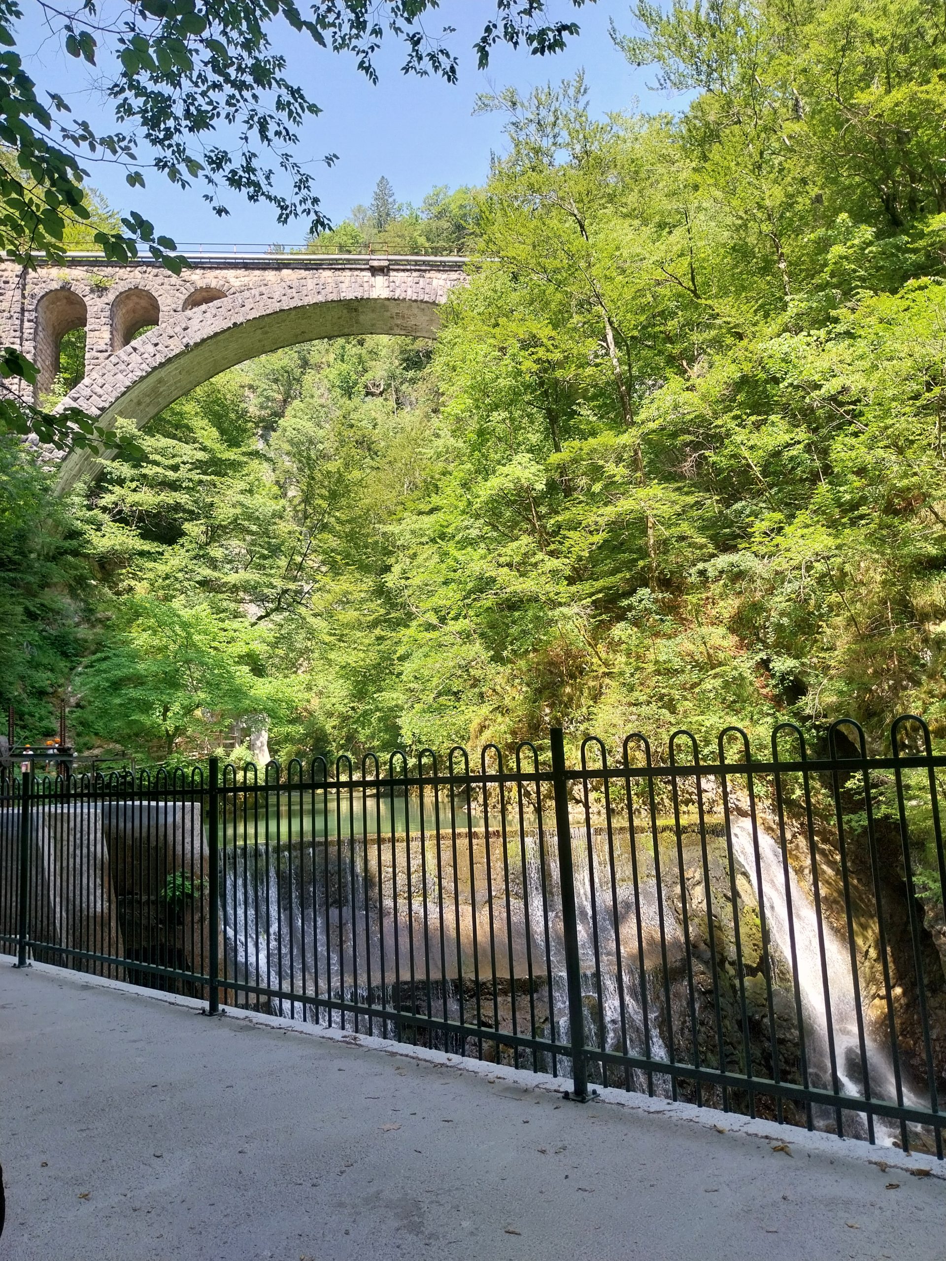 1000000656 (003) 1000000656 (003)